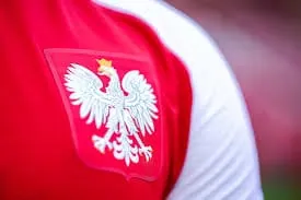 Zbliżenie na godło Polski na koszulce reprezentacyjnej